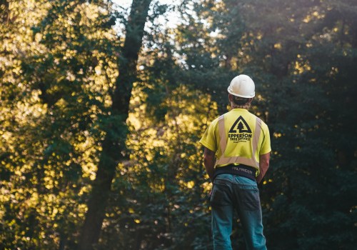 Protect Your Landscape: How A Tree Chopping Service In Orlando Can Combat Common Tree Diseases